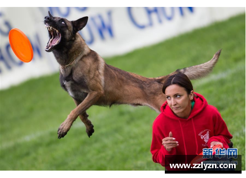 足球球星与萌犬共舞的精彩瞬间 展现爱与陪伴的温馨画面